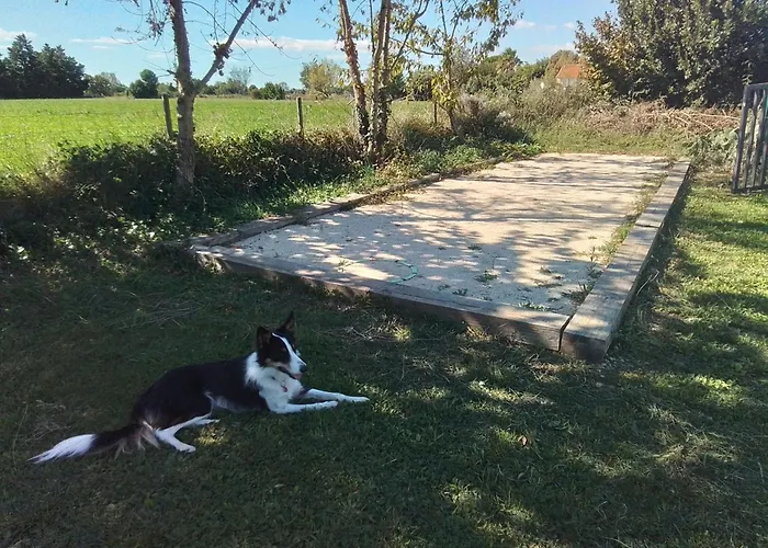 Tiny House Independante Climatisee